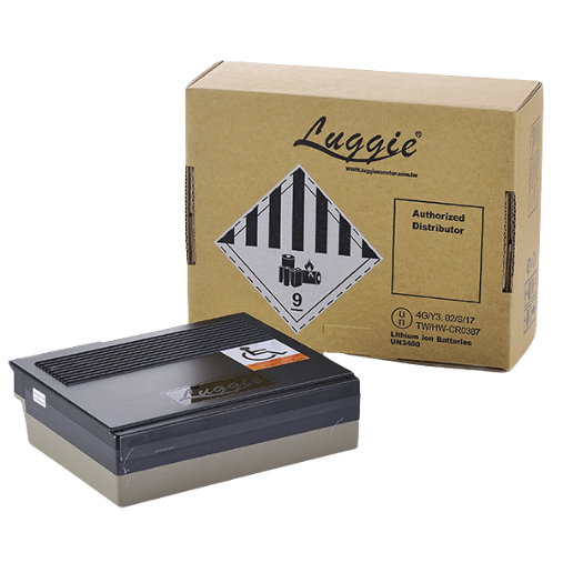 Luggie 10.5ah Li-on Battery